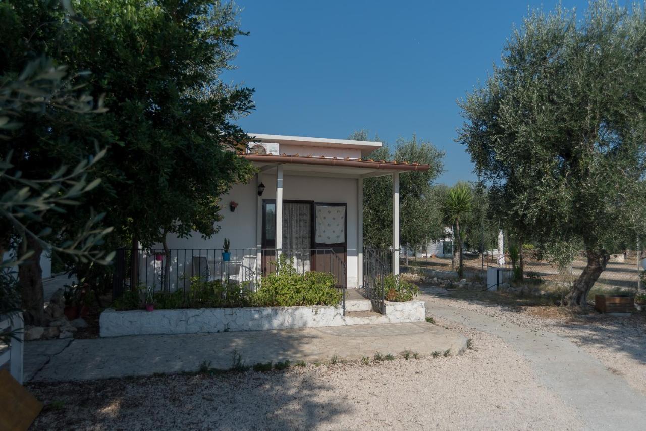 Appartamenti Sul Mare Da Antonino Mattinata Bagian luar foto